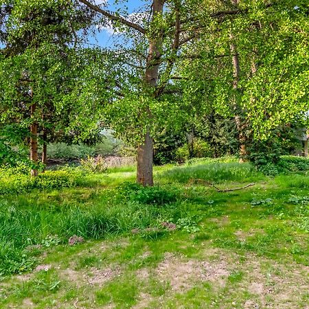 Altstadt Apartment Am Wasser Mit Parkplatz Und Riesigem Garten Bad Kreuznach Eksteriør billede