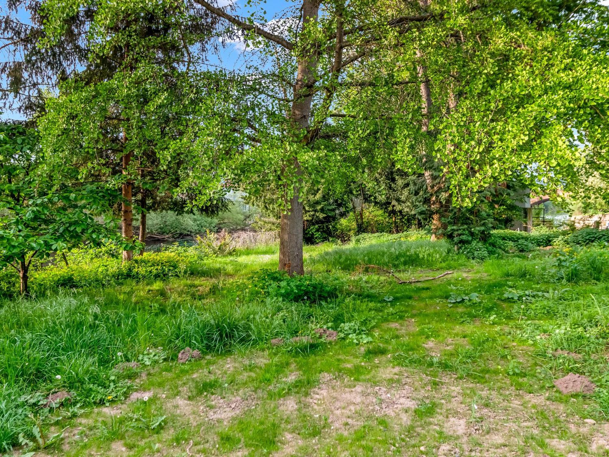 Altstadt Apartment Am Wasser Mit Parkplatz Und Riesigem Garten Bad Kreuznach Eksteriør billede